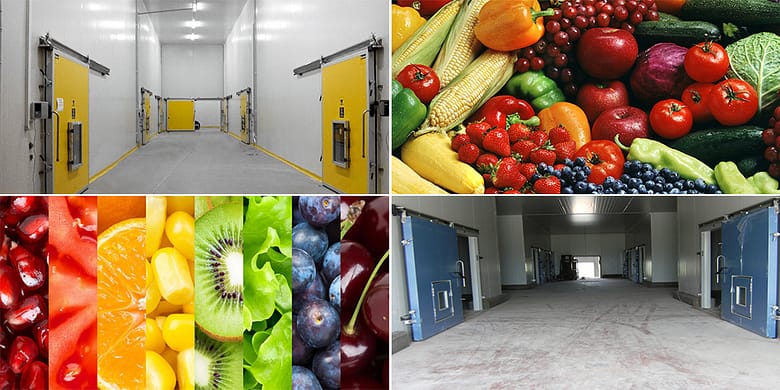 Controlled Atmosphere Cold Storage Solutions